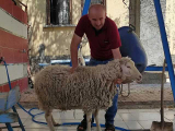 MEHMET Konya Adak Konya Adakçı Adakçılar